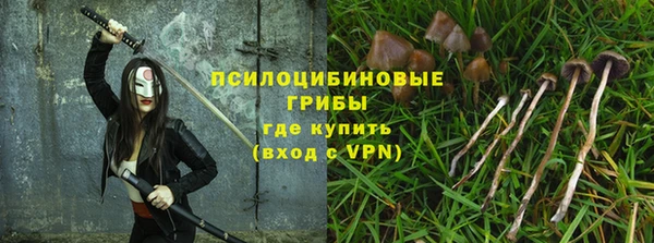 таблы Алексеевка