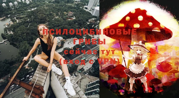 твердый Алзамай